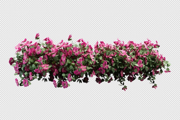 renderização 3D de flores isoladas