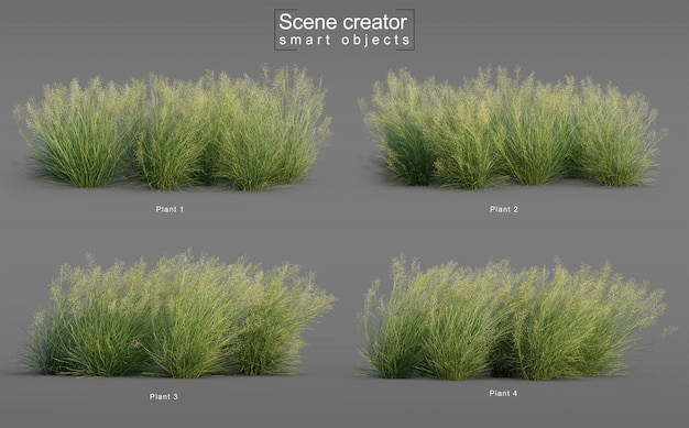 Renderização 3D de grama de arroz indiano