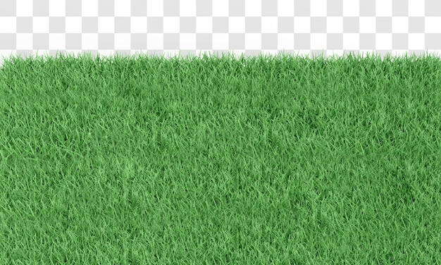 PSD renderização 3d de grama verde