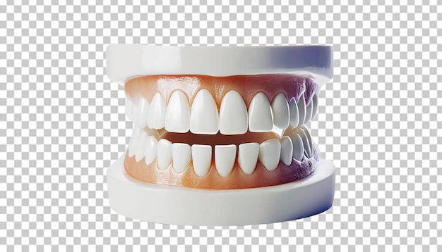PSD renderização 3d de modelo de ortodontia com dentes em fundo transparente