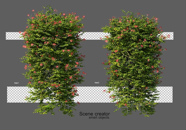 Renderização 3D de muitas plantas e hera