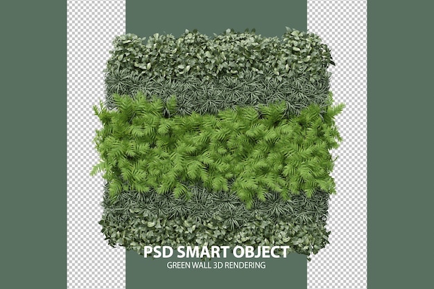 Renderização 3d de parede verde realista de objetos isolados