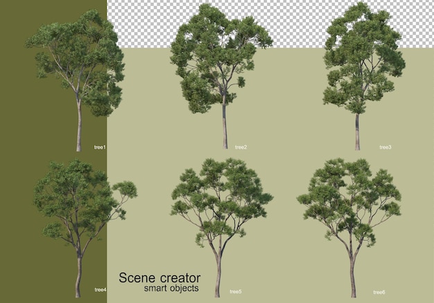 Renderização 3D de várias árvores isoladas