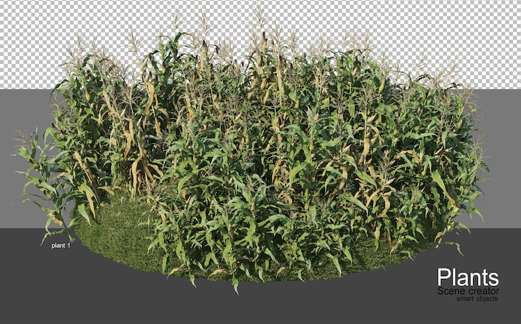 PSD renderização 3d de vários tipos de agronomia