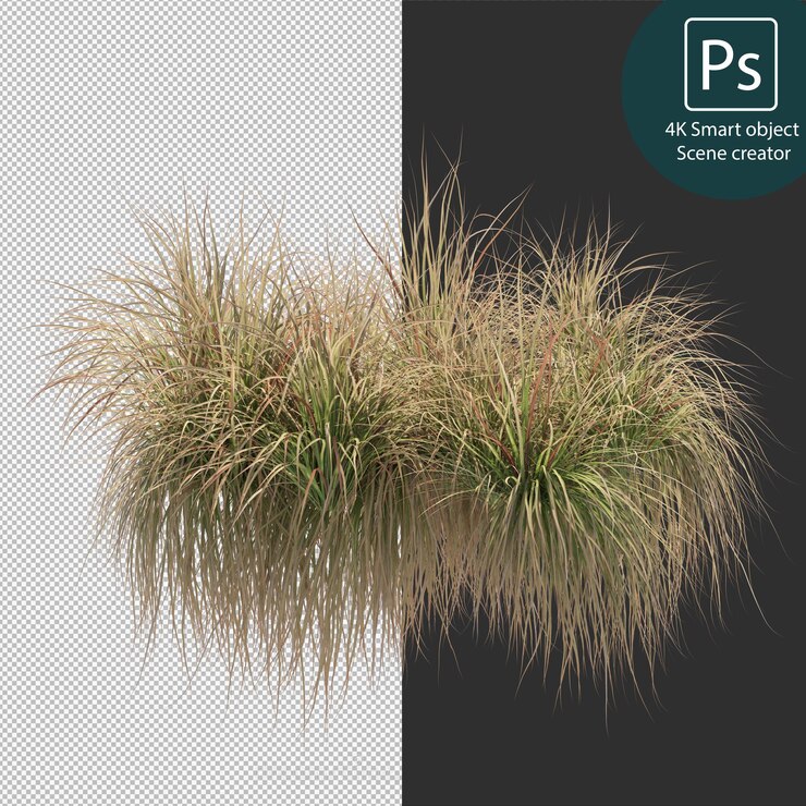 PSD renderização 3d de vários tipos de arranjos de arbustos e sebes