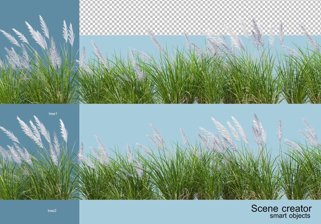 Renderização 3D de vários tipos de árvores
