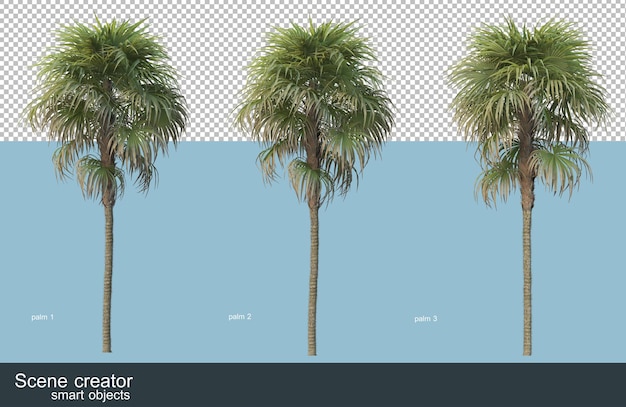 Renderização 3d de vários tipos de palmeiras
