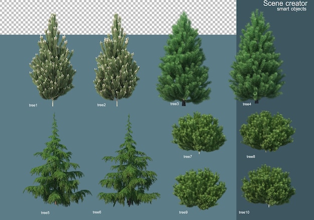 Renderização 3D de vários tipos de pinheiros
