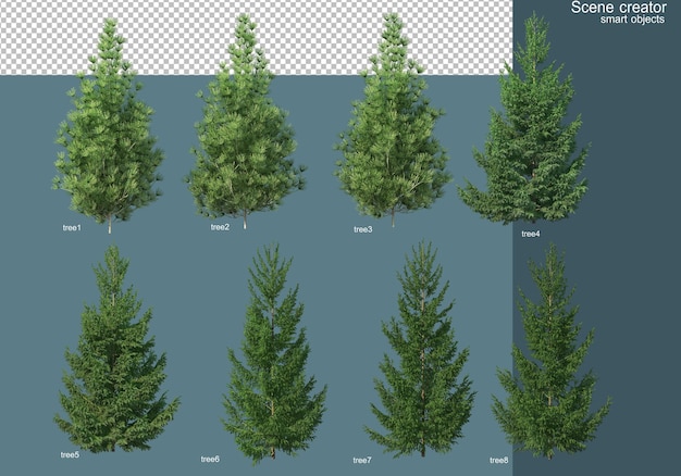 Renderização 3D de vários tipos de pinheiros