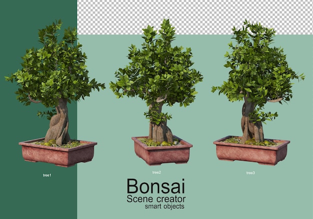 Renderização 3d do arranjo de árvores bonsai