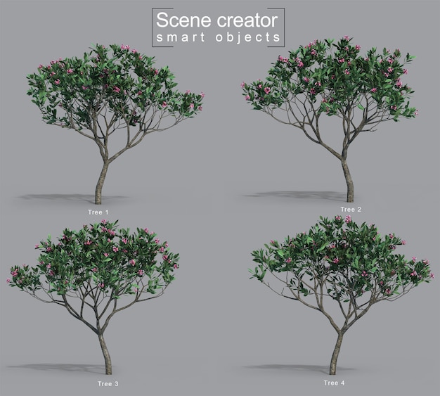 Renderização 3D do criador da cena da árvore Frangipani