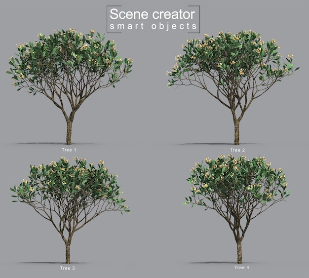 Renderização 3D do criador da cena da árvore Frangipani