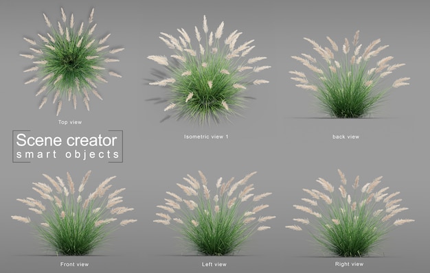 Renderização 3d do criador da cena silver spike grass