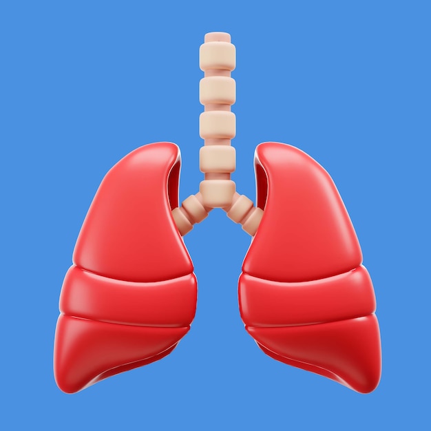 renderização 3D do ícone do corpo humano