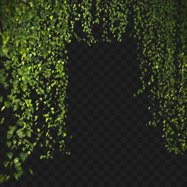 Renderização 3D do primeiro plano do Epipremnum aureum suspenso isolado