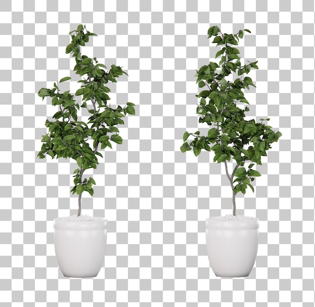 Renderização 3d em vaso de planta isométrica