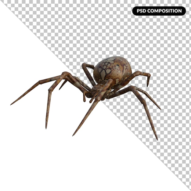 PSD renderização 3d isolada de aranha