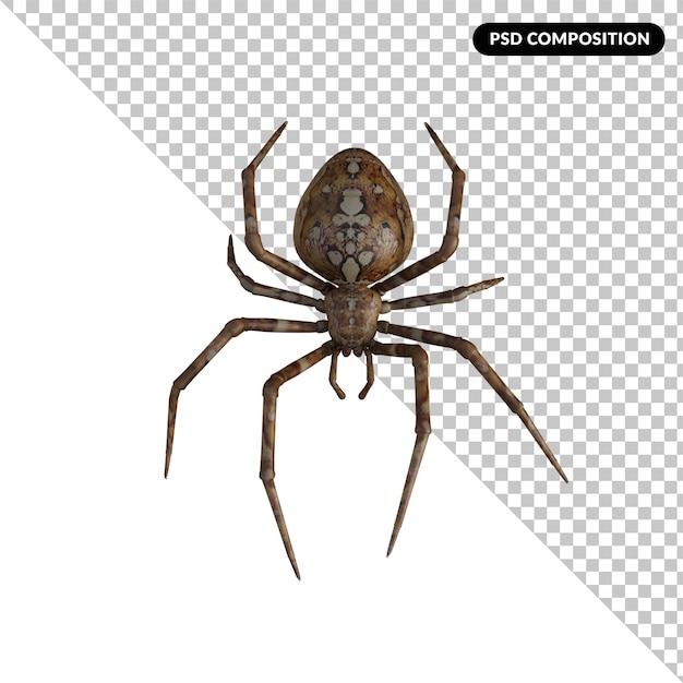 PSD renderização 3d isolada de aranha