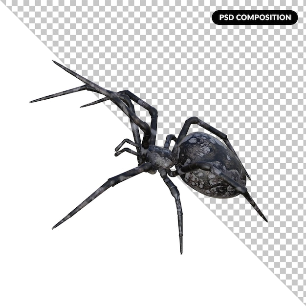 Renderização 3d isolada de aranha