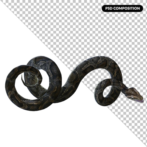 PSD renderização 3d isolada de cobra pyton