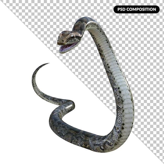 PSD renderização 3d isolada de cobra pyton