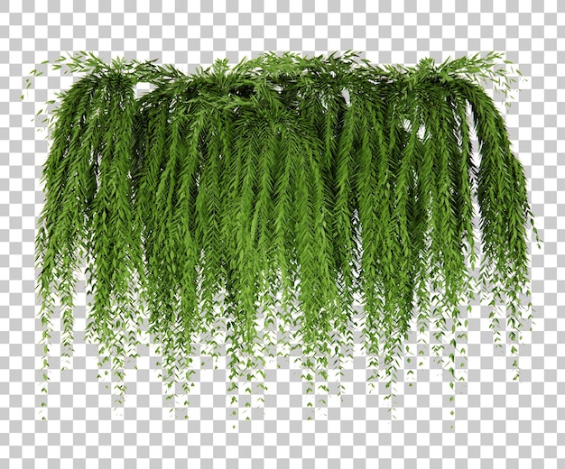 Renderização 3d isométrica de flores de plantas suspensas