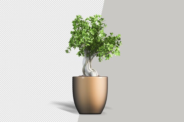 Renderização 3D realista de planta em vaso isolada