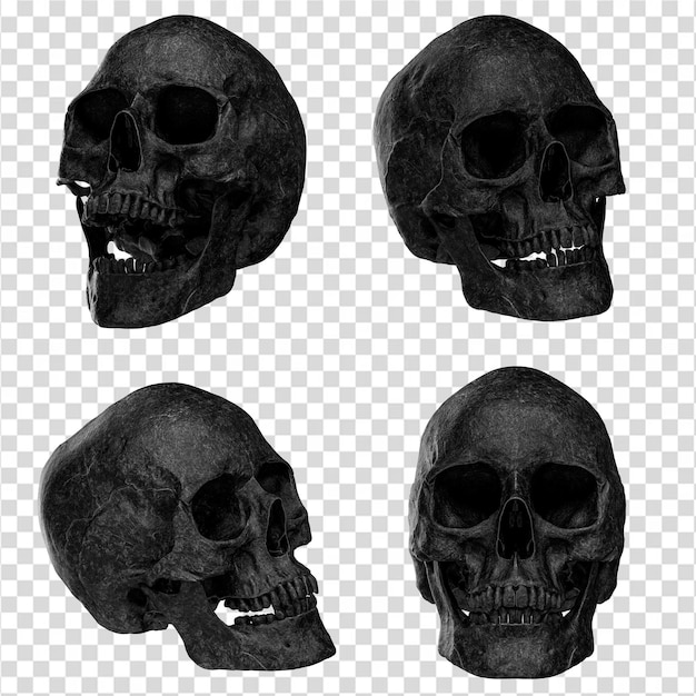 PSD renderização 3d realista do crânio em psd