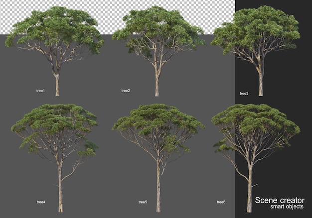 Renderização 3d, vários layouts de árvore