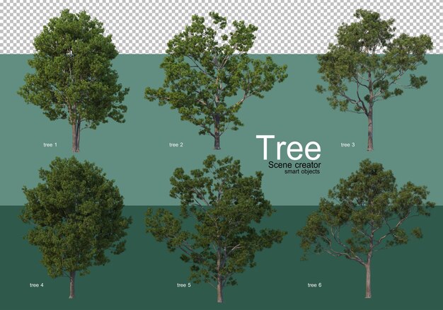 Renderização 3D, vários tipos de layouts de árvore