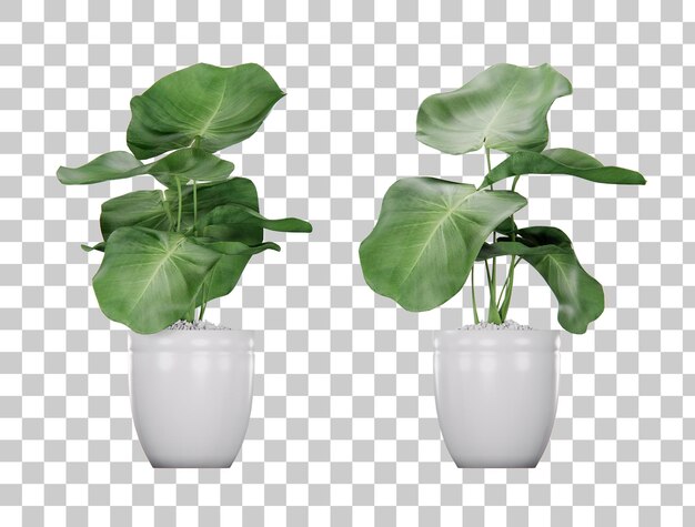 Renderização em 3d de flor de planta isométrica