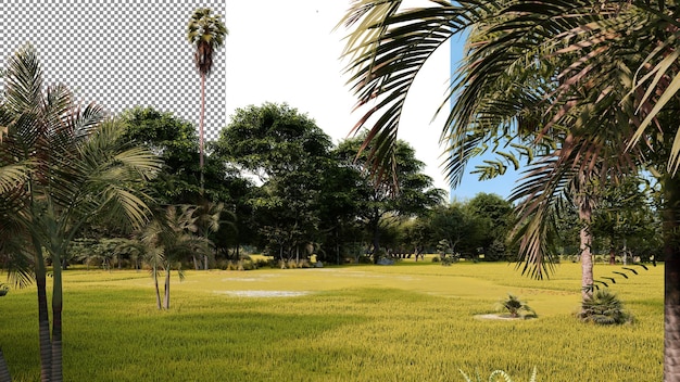 PSD renderização em 3d de fundo transparente de floresta tropical