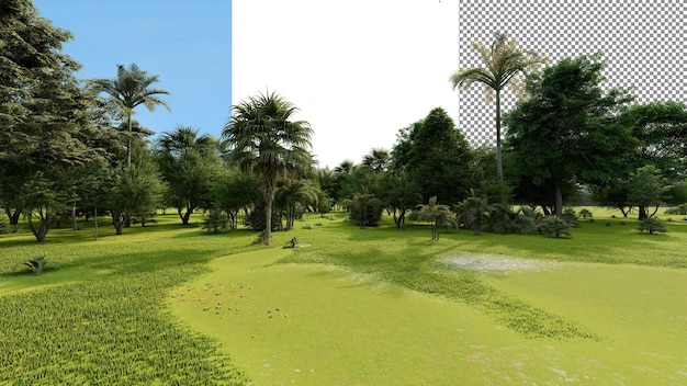 Renderização em 3d de fundo transparente de floresta tropical