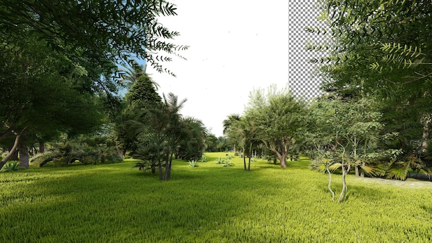 PSD renderização em 3d de fundo transparente de floresta tropical