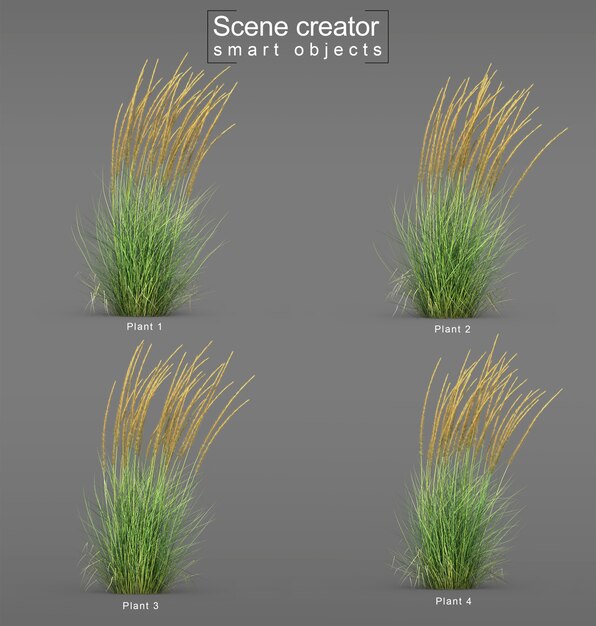 PSD renderização em 3d de karl foerster feather reed grass