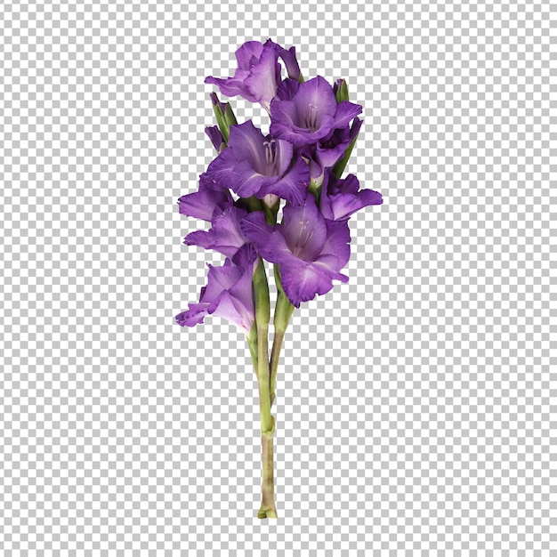 Renderização isolada de caule de flor de gladíolo roxo