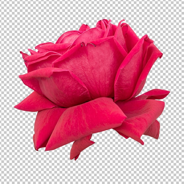 PSD renderização isolada de flor rosa marrom