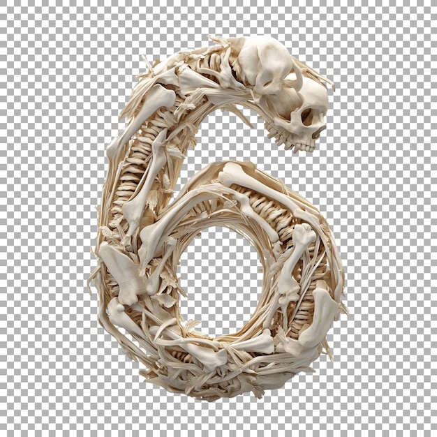 Renderización 3D de un alfabeto número 6 hecho con huesos en fondo transparente
