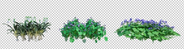 Renderización 3D de arbustos y flores aislados con fondo cortado