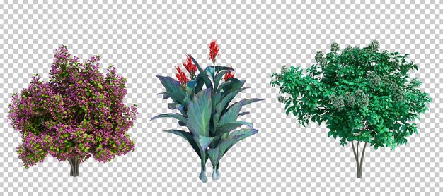 PSD renderización 3d de arbustos y flores aislados con fondo cortado