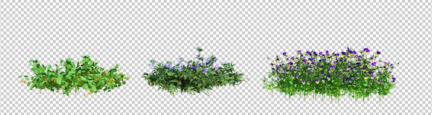 Renderización 3D de arbustos y flores aislados con fondo cortado