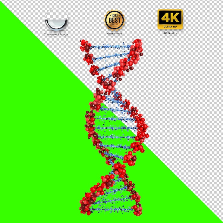 PSD renderización 3d de una cadena de doble hélice de adn