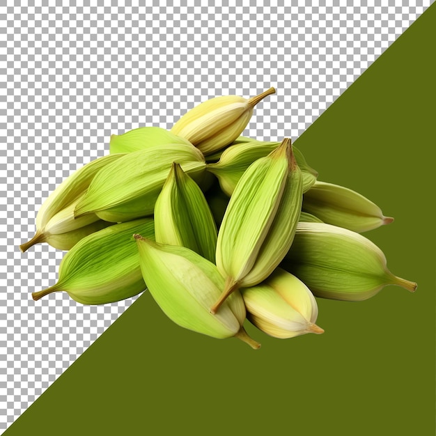 PSD renderización 3d de un cardamomo en un fondo transparente generado por ai