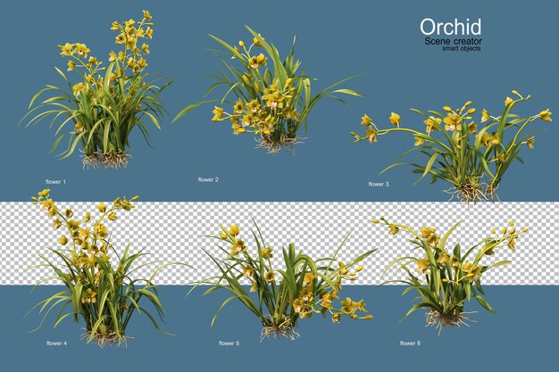 Renderización 3D de orquídeas y plantas