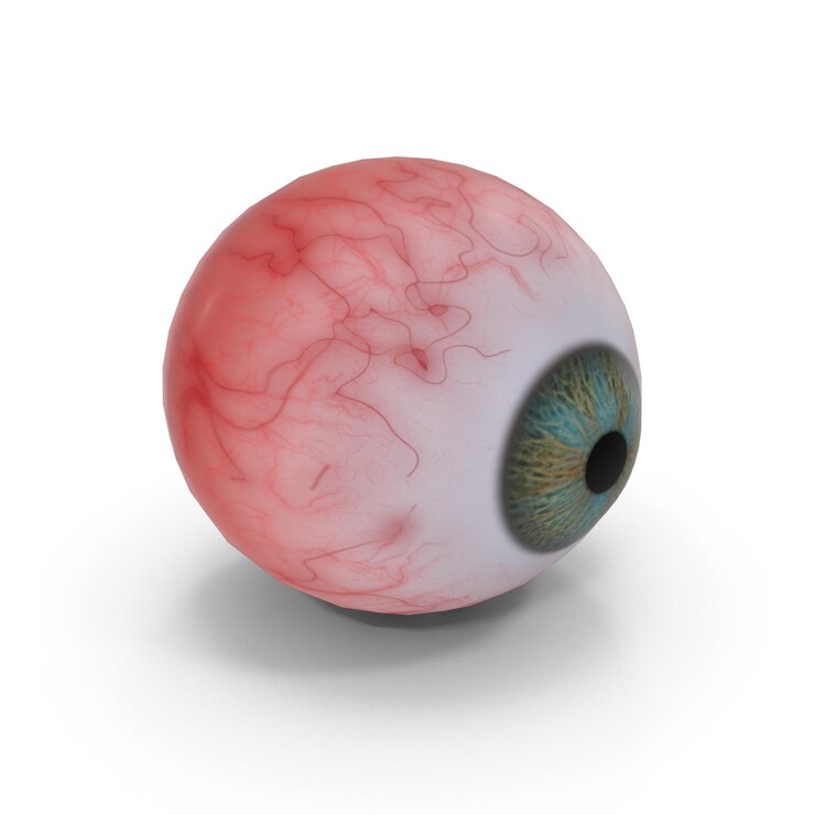 Renderización 3D realista del globo ocular