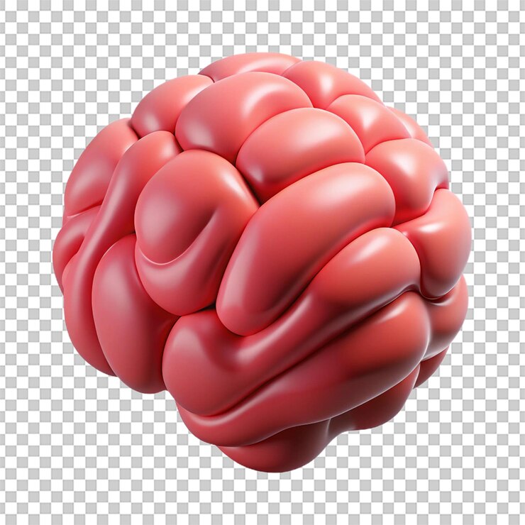 PSD renderización modelada en 3d de íconos cerebrales para aplicaciones de neurociencia y salud