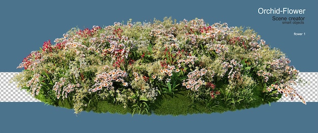 Renderizado en 3D de orquídeas de colores