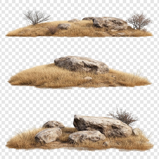 Renderizado en 3D de parches de hierba seca con rocas y arbustos aislados en un fondo transparente