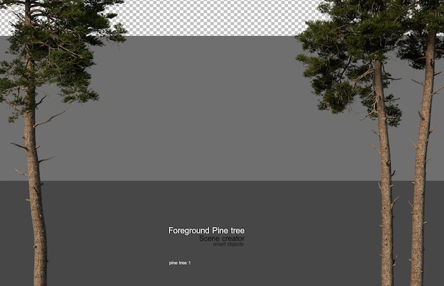 Renderizado en 3D de pino de primer plano