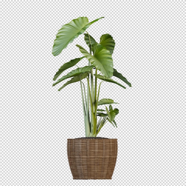 Renderizado 3D de la planta isométrica